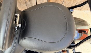 HARLEY DAVIDSON FLS SOFTAIL SLIM lleno