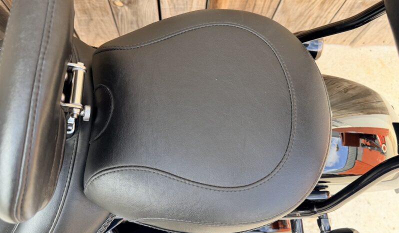 HARLEY DAVIDSON FLS SOFTAIL SLIM lleno