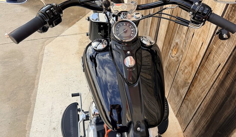 HARLEY DAVIDSON FLS SOFTAIL SLIM lleno