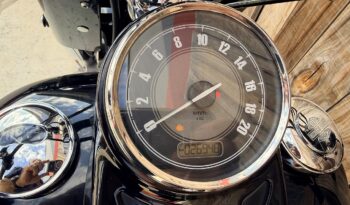 HARLEY DAVIDSON FLS SOFTAIL SLIM lleno