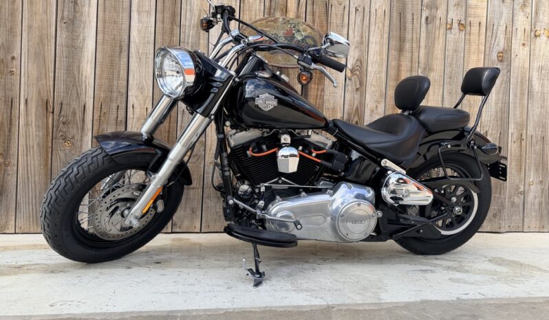 HARLEY DAVIDSON FLS SOFTAIL SLIM lleno