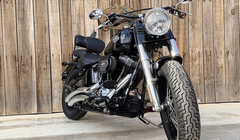 HARLEY DAVIDSON FLS SOFTAIL SLIM lleno