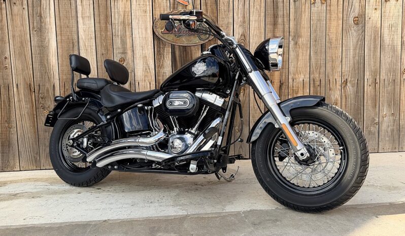 HARLEY DAVIDSON FLS SOFTAIL SLIM lleno