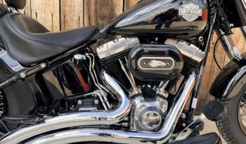 HARLEY DAVIDSON FLS SOFTAIL SLIM lleno