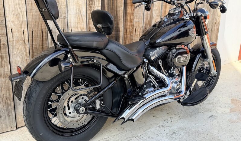 HARLEY DAVIDSON FLS SOFTAIL SLIM lleno