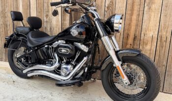HARLEY DAVIDSON FLS SOFTAIL SLIM lleno
