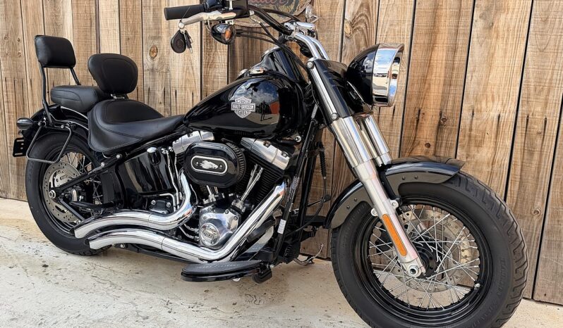 HARLEY DAVIDSON FLS SOFTAIL SLIM lleno