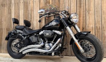 HARLEY DAVIDSON FLS SOFTAIL SLIM lleno