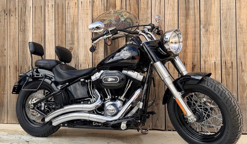 HARLEY DAVIDSON FLS SOFTAIL SLIM lleno