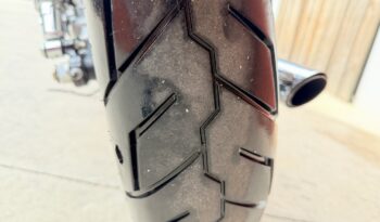 HARLEY DAVIDSON XL1200 CUSTOM lleno