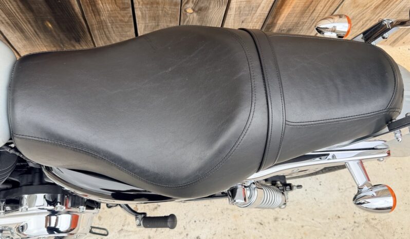HARLEY DAVIDSON XL1200 CUSTOM lleno
