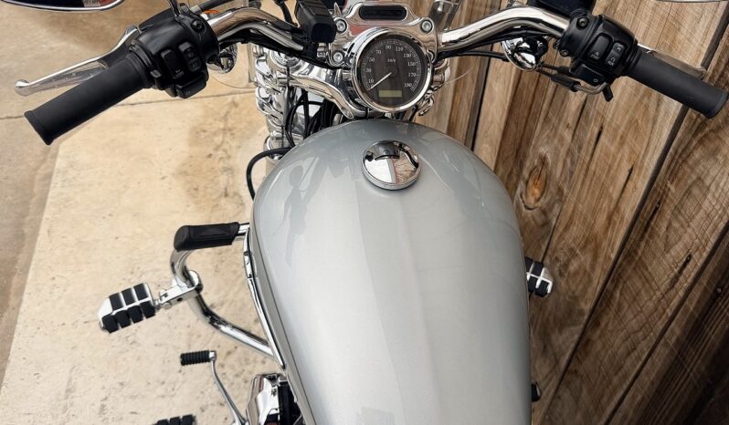 HARLEY DAVIDSON XL1200 CUSTOM lleno