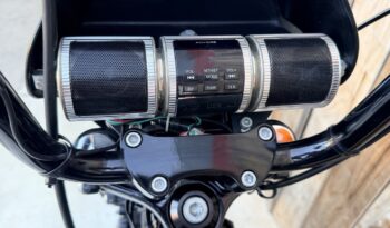 HARLEY DAVIDSON XL1200 NIGHSTER lleno