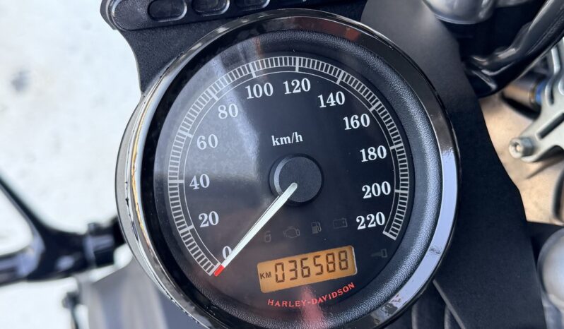 HARLEY DAVIDSON XL1200 NIGHSTER lleno