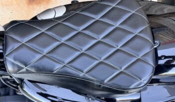 HARLEY DAVIDSON XL1200 NIGHSTER lleno