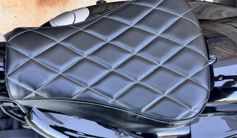 HARLEY DAVIDSON XL1200 NIGHSTER lleno