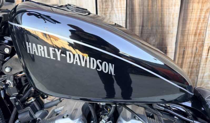 HARLEY DAVIDSON XL1200 NIGHSTER lleno