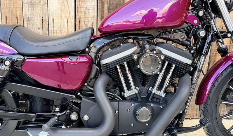HARLEY DAVIDSON XL883 IRON lleno