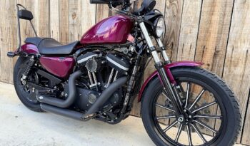 HARLEY DAVIDSON XL883 IRON lleno