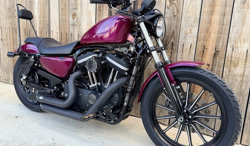 HARLEY DAVIDSON XL883 IRON lleno