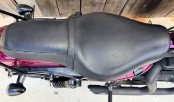 HARLEY DAVIDSON XL883 IRON lleno