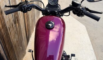 HARLEY DAVIDSON XL883 IRON lleno