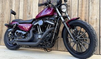 HARLEY DAVIDSON XL883 IRON lleno