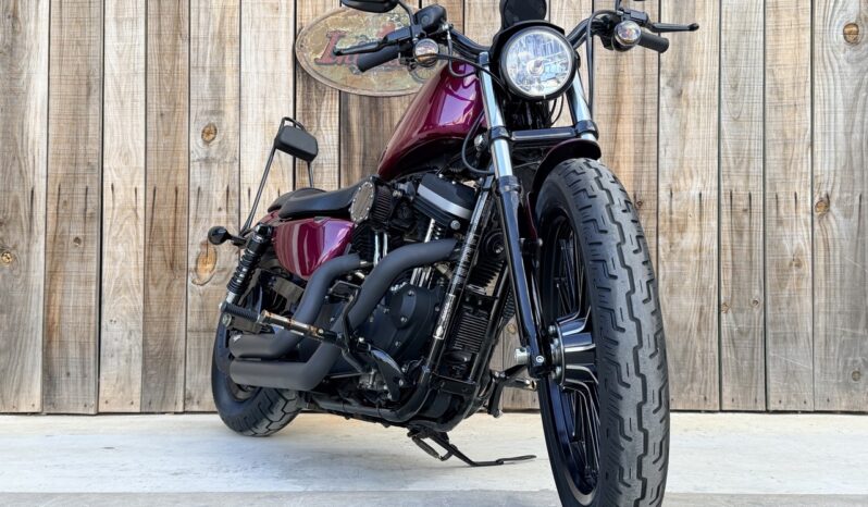 HARLEY DAVIDSON XL883 IRON lleno