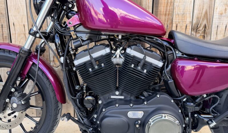 HARLEY DAVIDSON XL883 IRON lleno