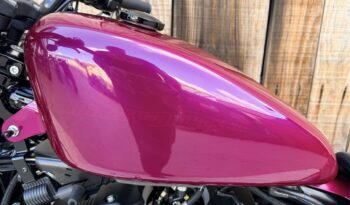 HARLEY DAVIDSON XL883 IRON lleno