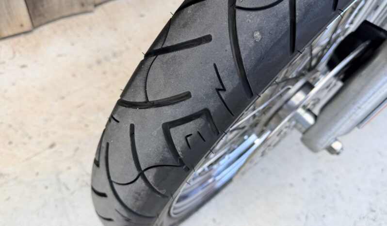 HARLEY DAVIDSON DYNA STREET BOB lleno