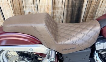 HARLEY DAVIDSON DYNA STREET BOB lleno