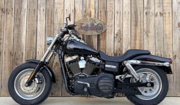 HARLEY DAVIDSON DYNA FAT BOB lleno