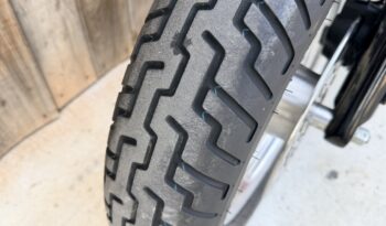 HARLEY DAVIDSON DYNA FAT BOB lleno
