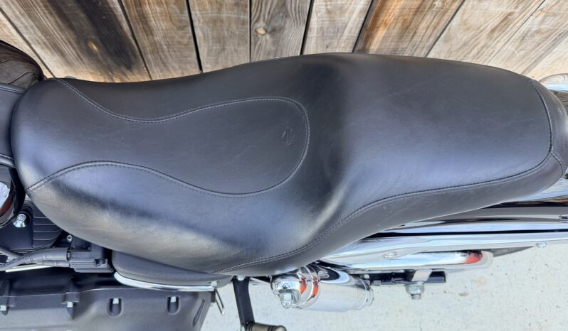 HARLEY DAVIDSON DYNA FAT BOB lleno
