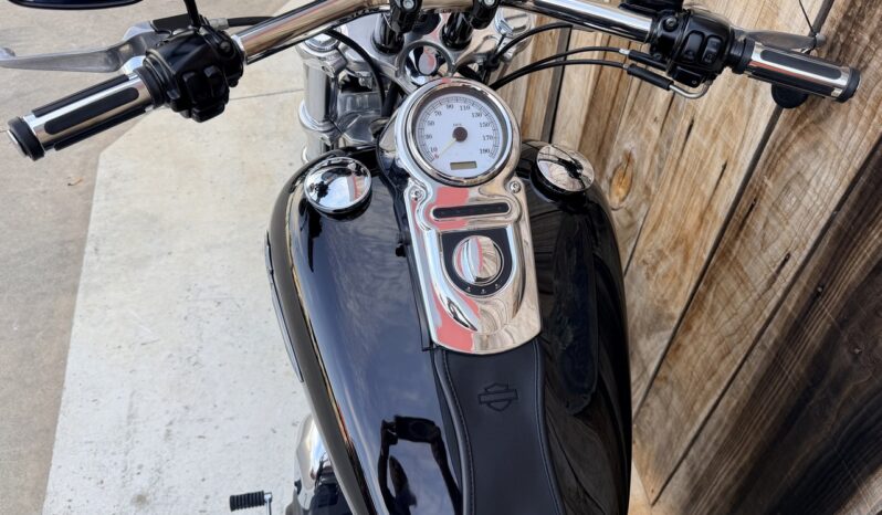 HARLEY DAVIDSON DYNA FAT BOB lleno