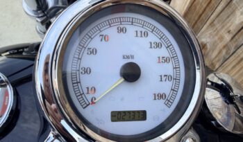 HARLEY DAVIDSON DYNA FAT BOB lleno