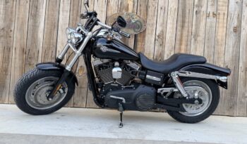 HARLEY DAVIDSON DYNA FAT BOB lleno