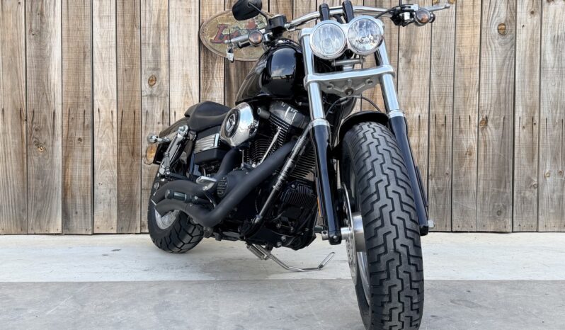HARLEY DAVIDSON DYNA FAT BOB lleno