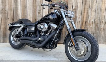 HARLEY DAVIDSON DYNA FAT BOB lleno