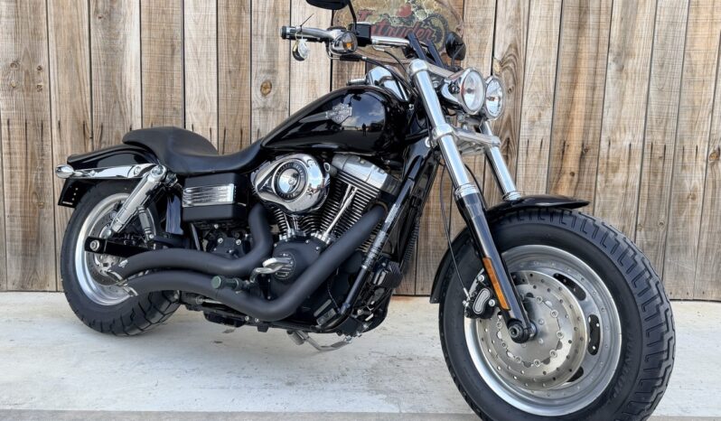 HARLEY DAVIDSON DYNA FAT BOB lleno