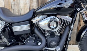 HARLEY DAVIDSON DYNA FAT BOB lleno