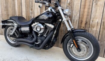 HARLEY DAVIDSON DYNA FAT BOB lleno