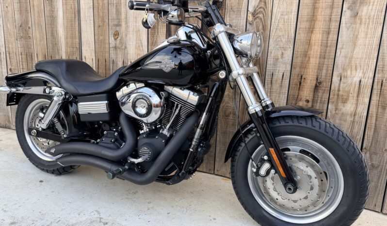 HARLEY DAVIDSON DYNA FAT BOB lleno