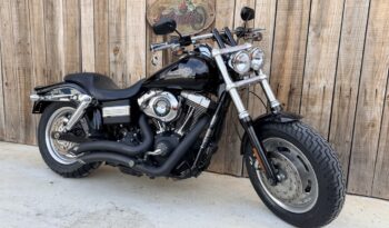 HARLEY DAVIDSON DYNA FAT BOB lleno