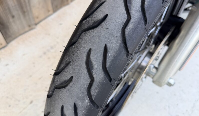 HARLEY DAVIDSON DYNA STREET BOB lleno