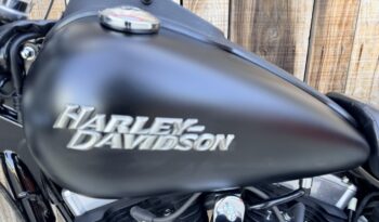 HARLEY DAVIDSON DYNA STREET BOB lleno