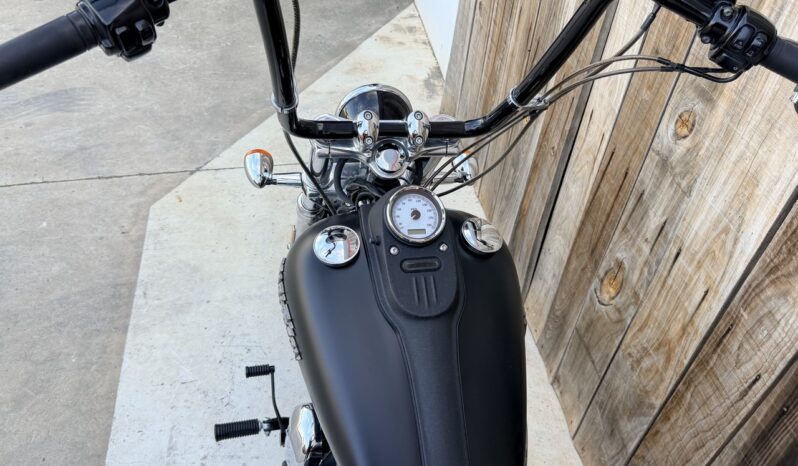 HARLEY DAVIDSON DYNA STREET BOB lleno
