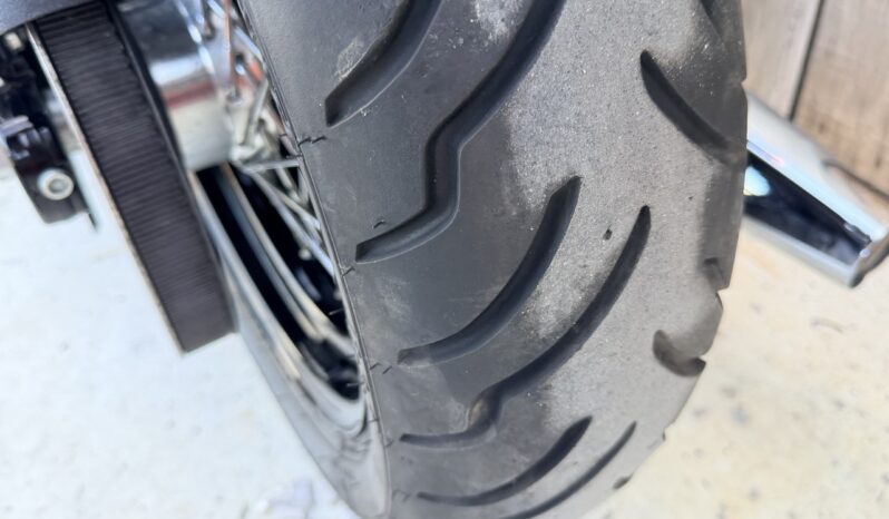 HARLEY DAVIDSON DYNA STREET BOB lleno