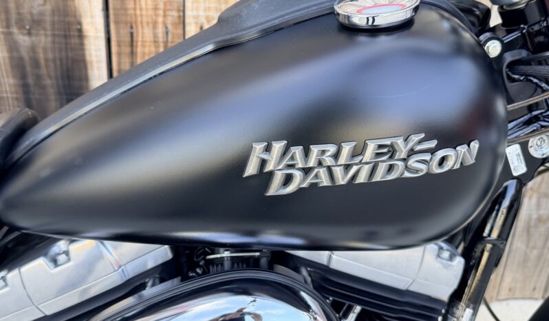 HARLEY DAVIDSON DYNA STREET BOB lleno